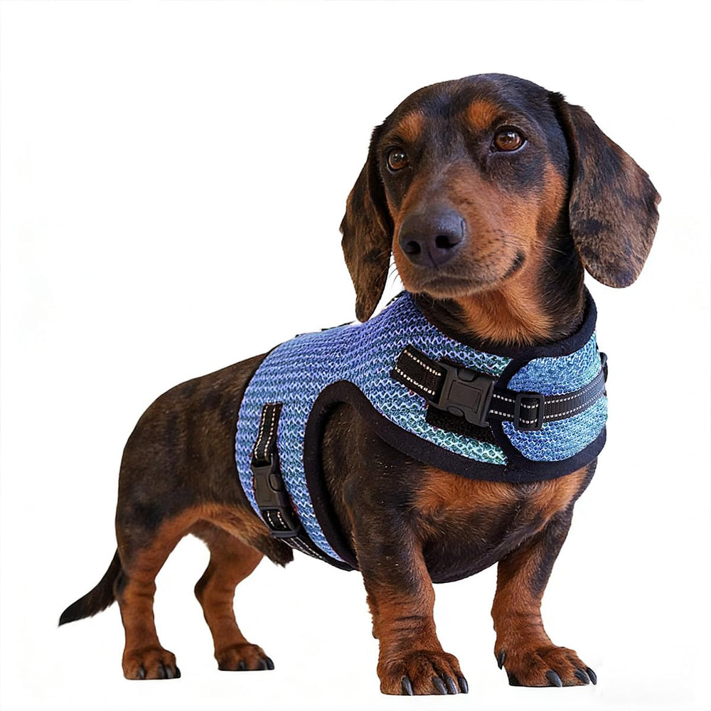 Hilspace Dachshund harness vest shown from the back.