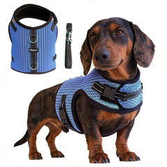 Hilspace Dachshund harness vest in blue, shown from the front.