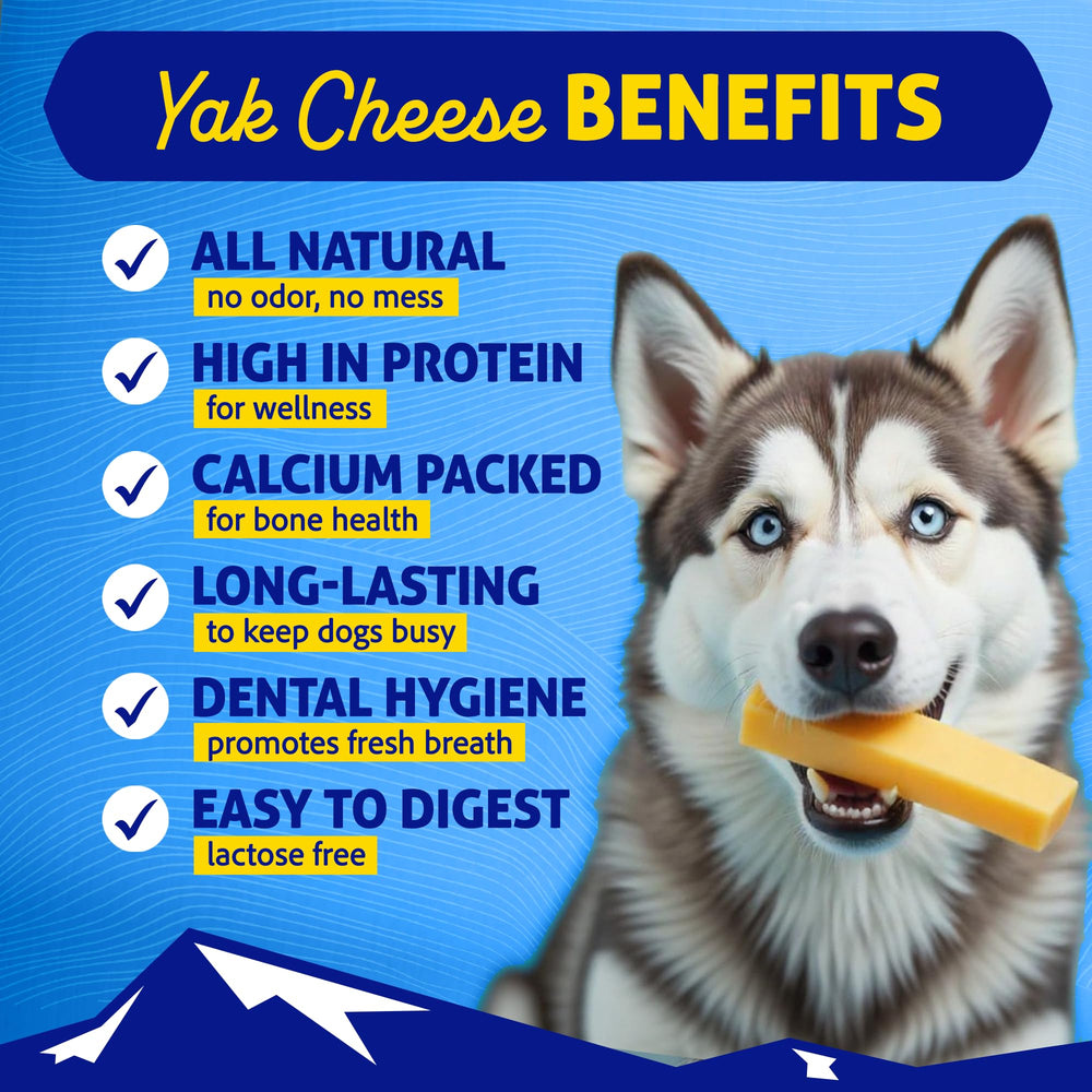 Himalayan Dog Chew bacon yak cheese dog chew shown at an angle.