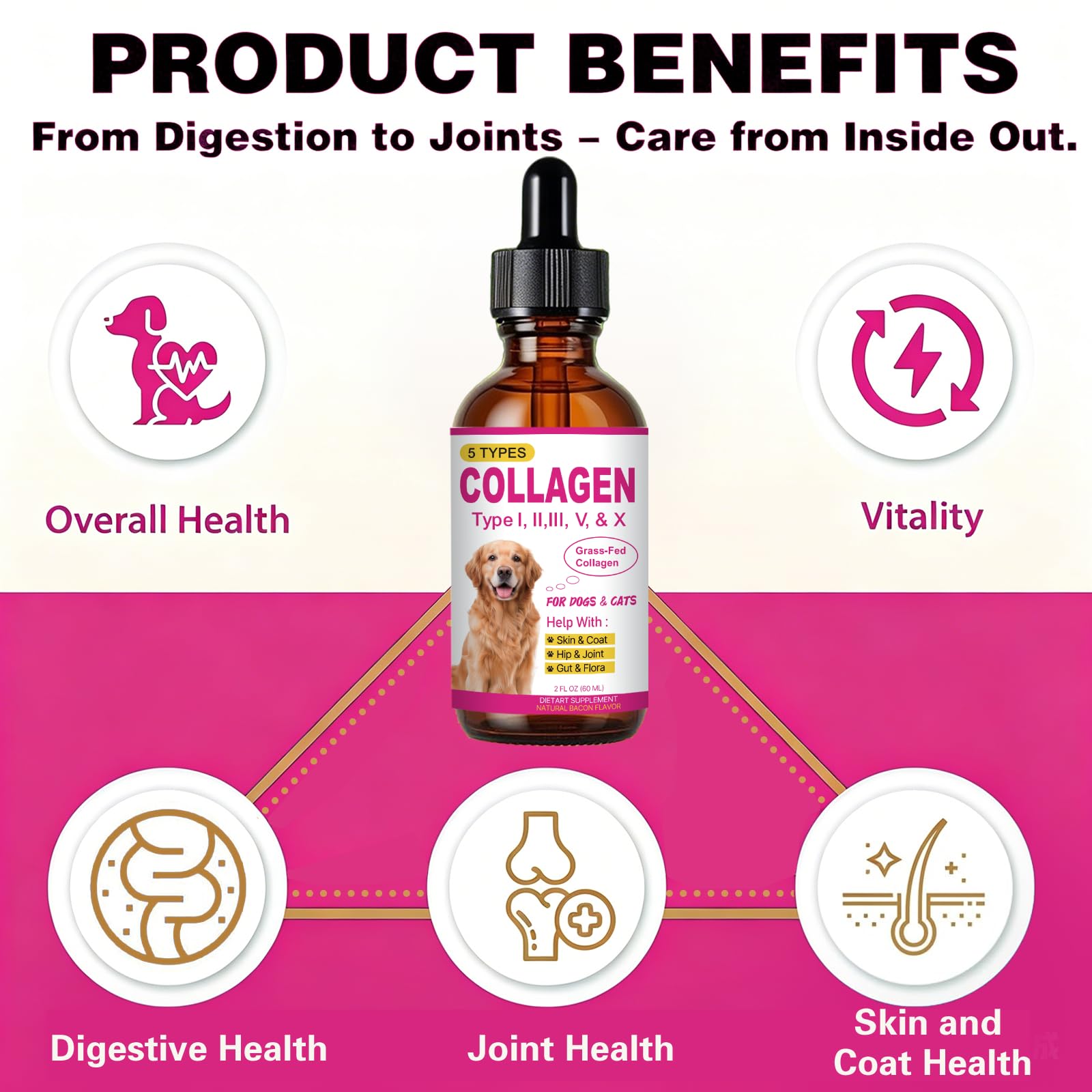 HIQUAY liquid collagen shown in its liquid supplement format for pets.