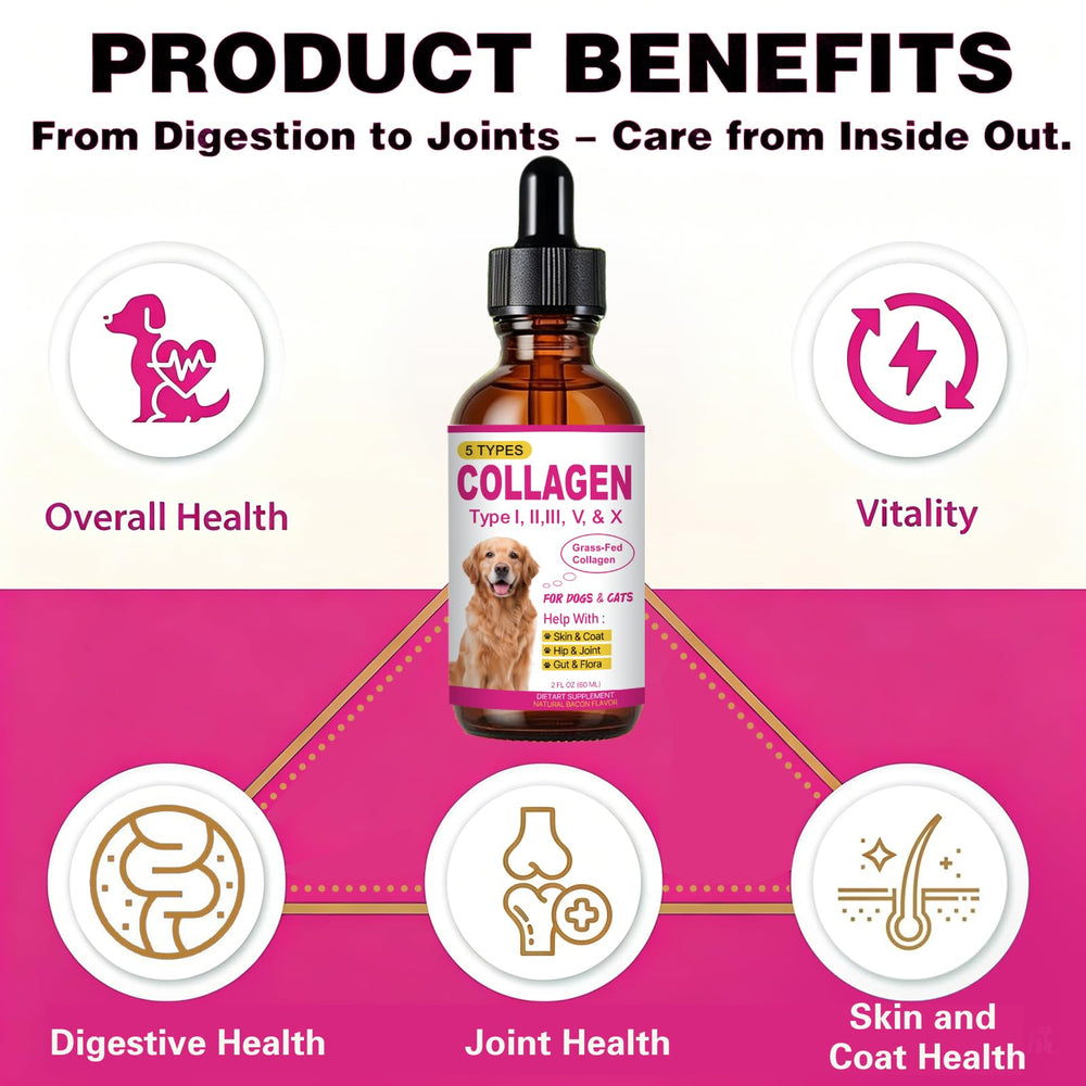 HIQUAY liquid collagen shown in its liquid supplement format for pets.