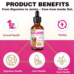 HIQUAY liquid collagen shown in its liquid supplement format for pets.