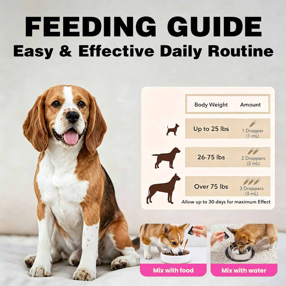 HIQUAY liquid collagen shown as part of a pet feeding routine.