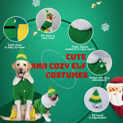Hladce dog elf costume detail showing the adjustable elf hat.
