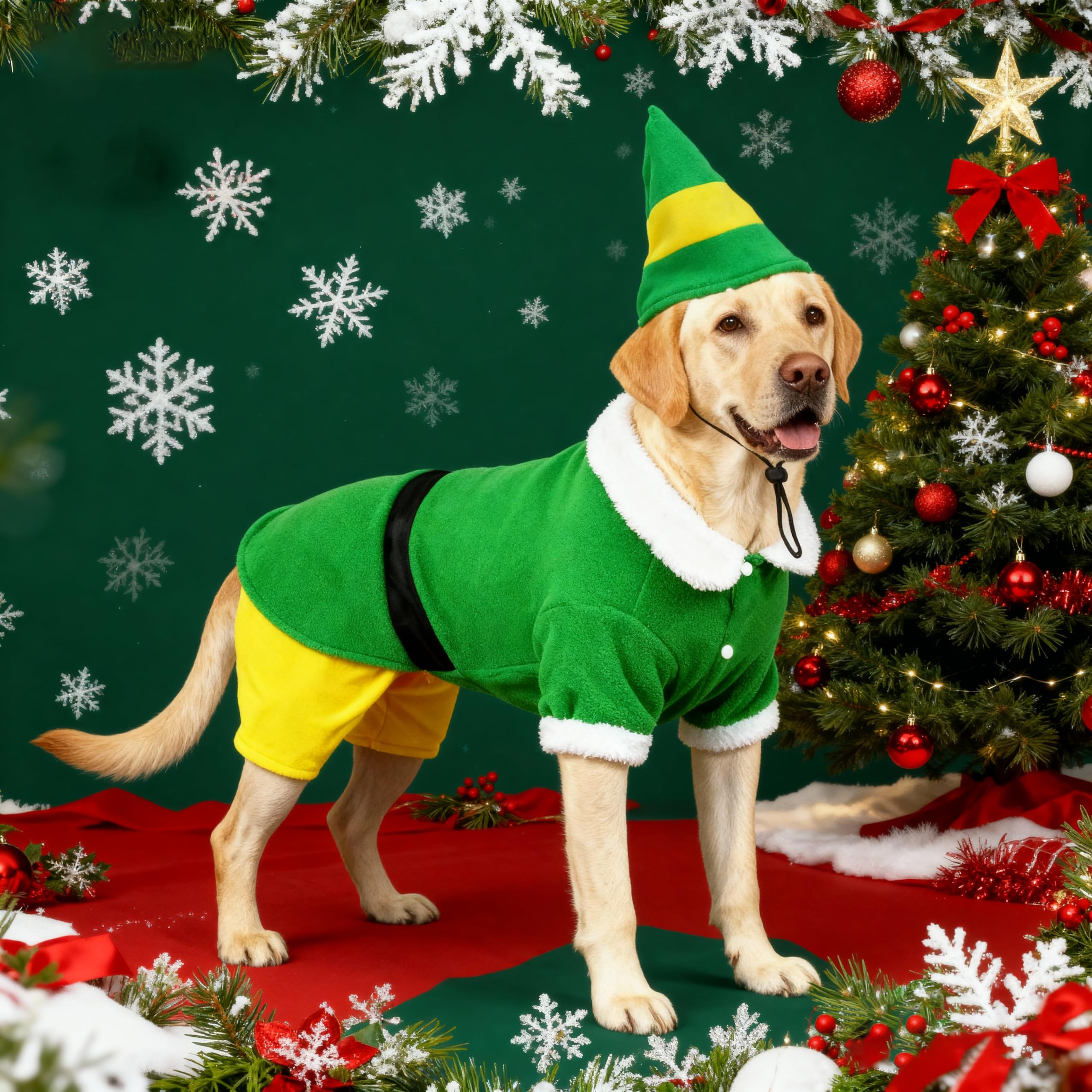 Hladce dog elf costume shown being worn by a dog.