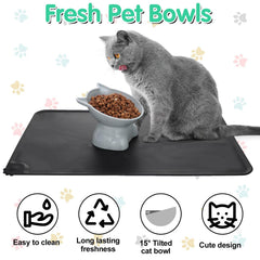 Hoemwarm elevated cat bowls arranged together on the silicone feeding mat.