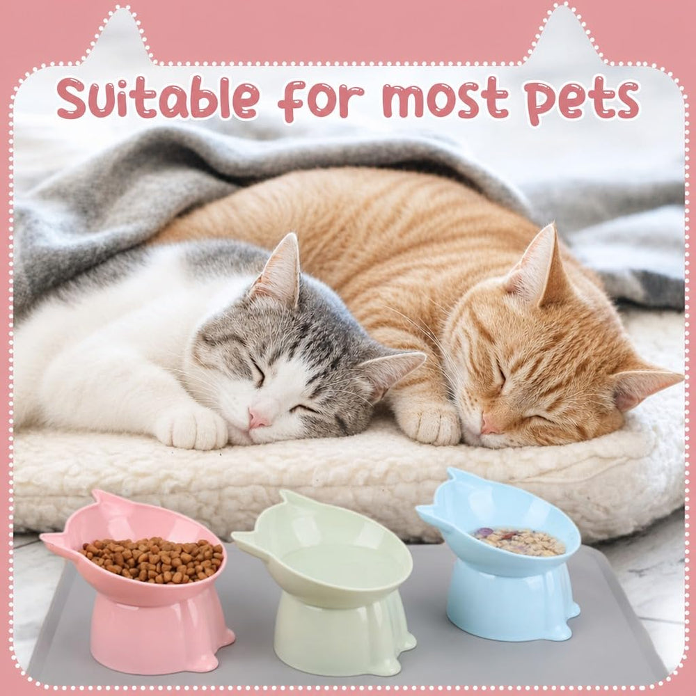 Hoemwarm raised cat bowls arranged together on the silicone feeding mat.