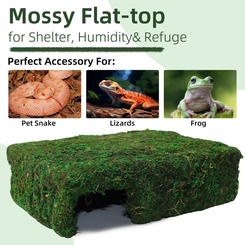 Hollima Mossy Cave Hide placed as a shelter in a terrarium setting.