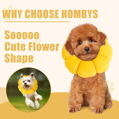 HOMBYS Soft Dog Cone close-up showing the adjustable buckle.