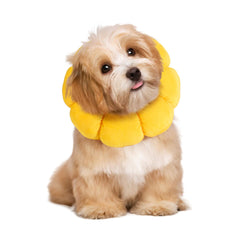 HOMBYS Soft Dog Cone shown from the front.