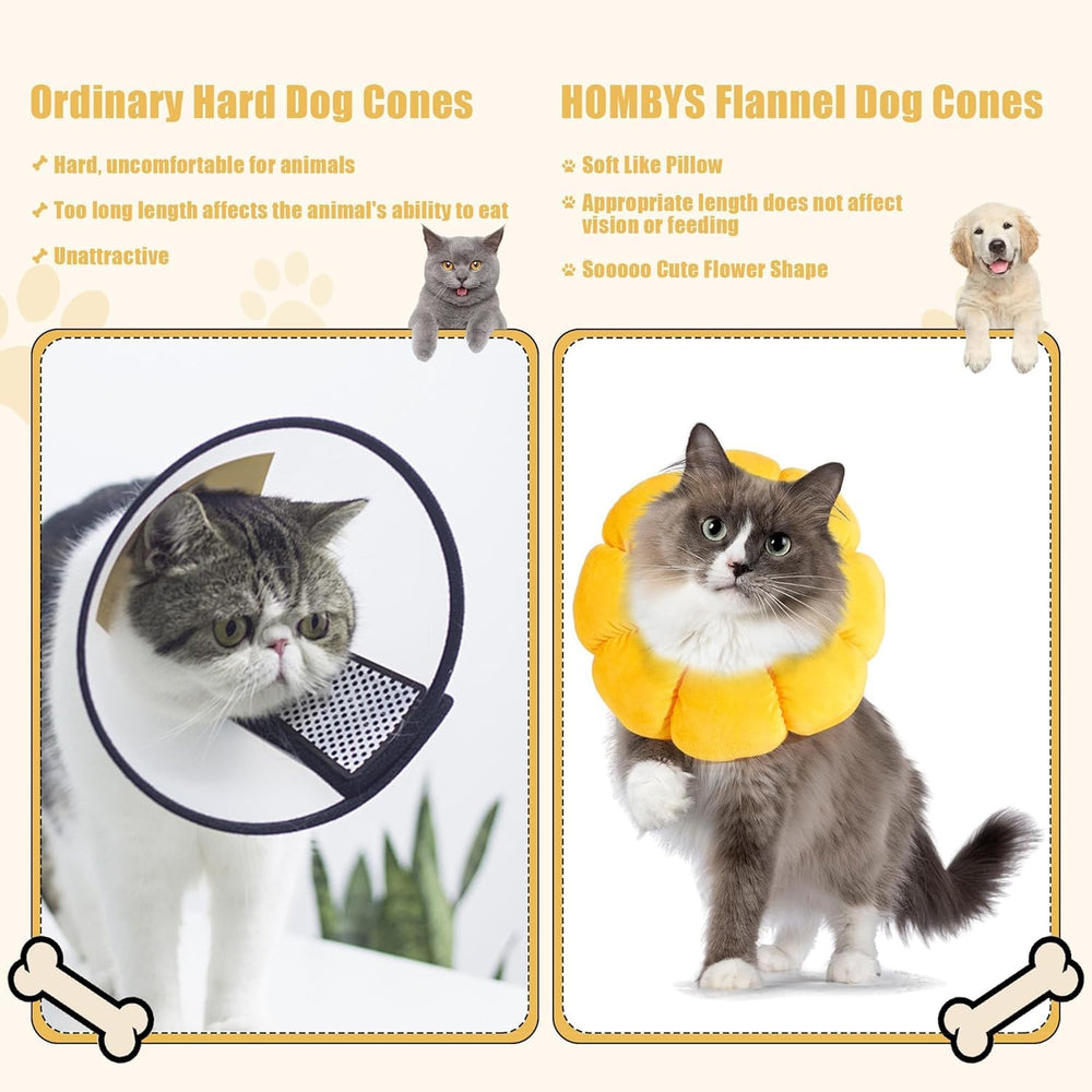 HOMBYS Soft Dog Cone worn by a dog during recovery.