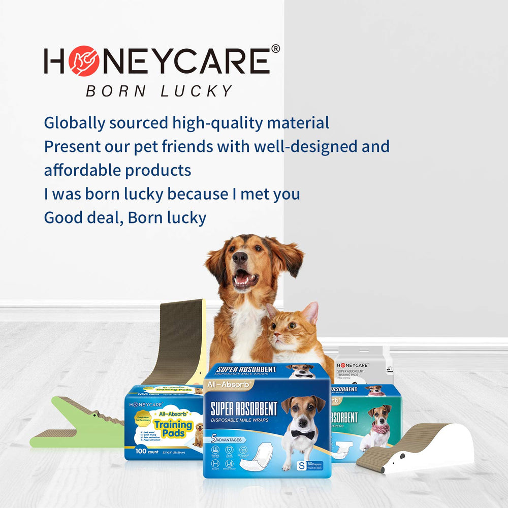 HONEY CARE All-Absorb Cat Litter Pads shown with their 17.1 by 11.8-inch size.