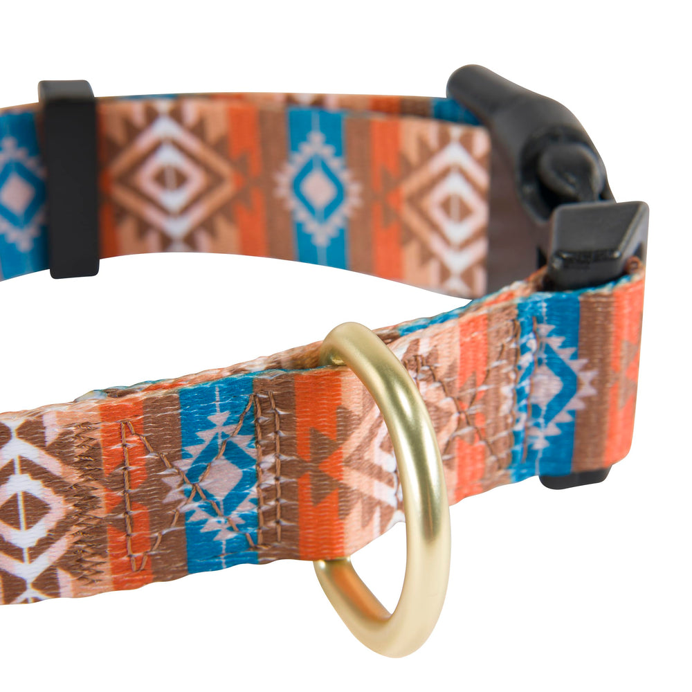 HOOEY Nomad dog collar close-up of the metal D-ring for tags and leash attachment.