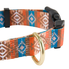 HOOEY Nomad dog collar close-up of the metal D-ring for tags and leash attachment.