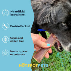 Hotspot Pets Beef Esophagus Dog Treat close-up showing the cut end.