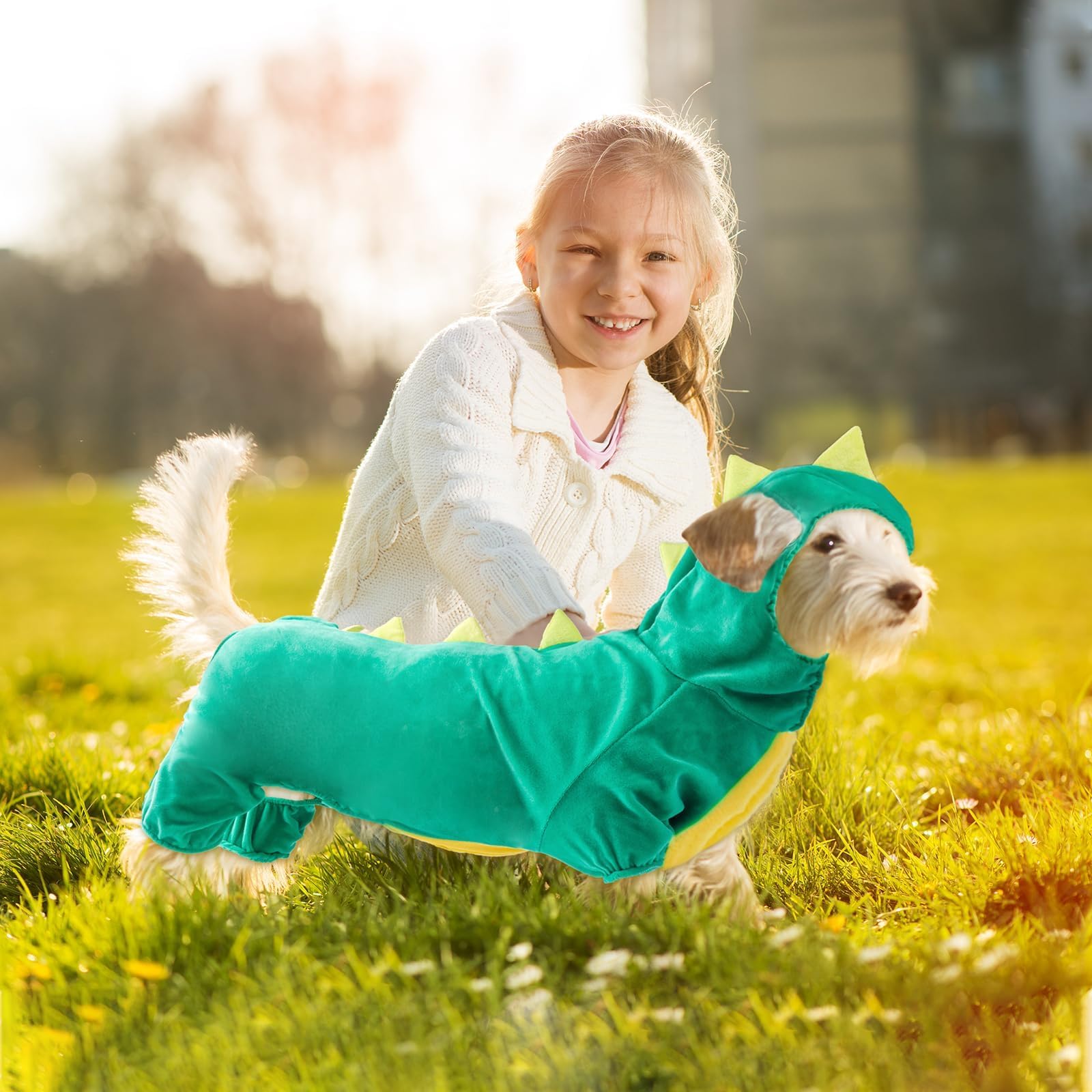Hotumn dinosaur dog costume shown from behind, displaying the back details.