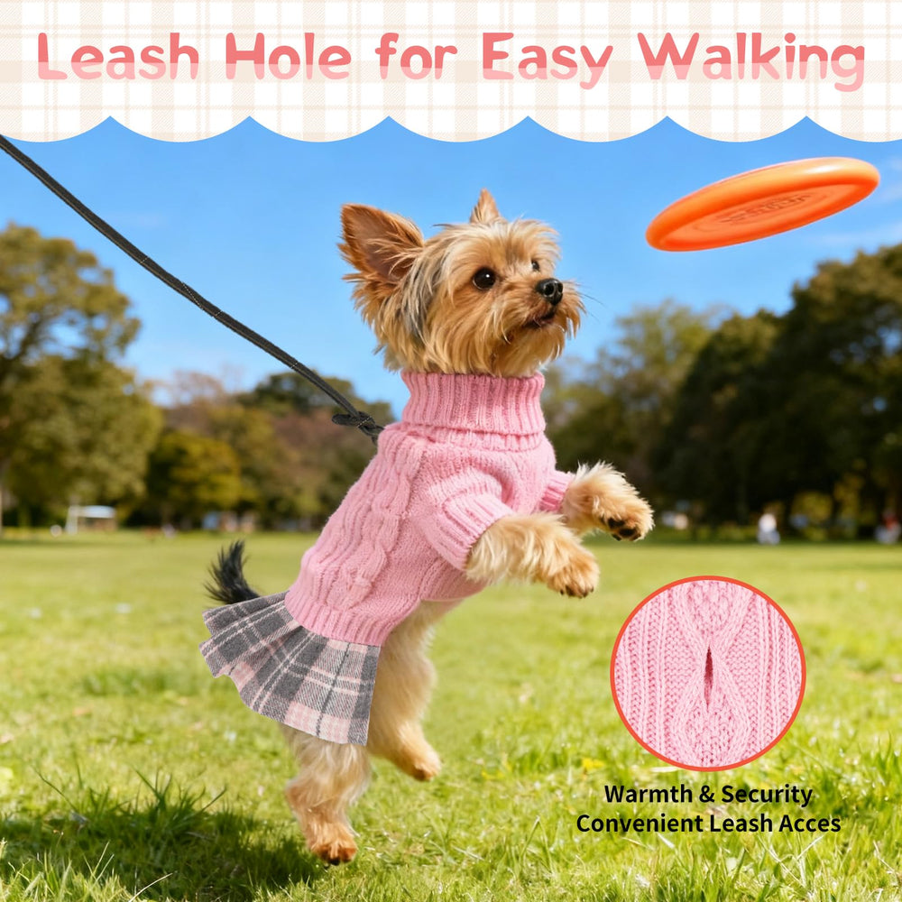 Hpetppy dog sweater dress with its turtleneck neckline in close view.