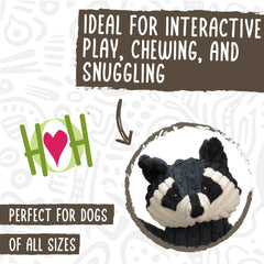 HuggleHounds Reggie Racoon HuggleFlatties dog toy soft corduroy plush surface.