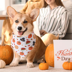 Huhumy dog bandanas folded to show a selection of fall patterns.