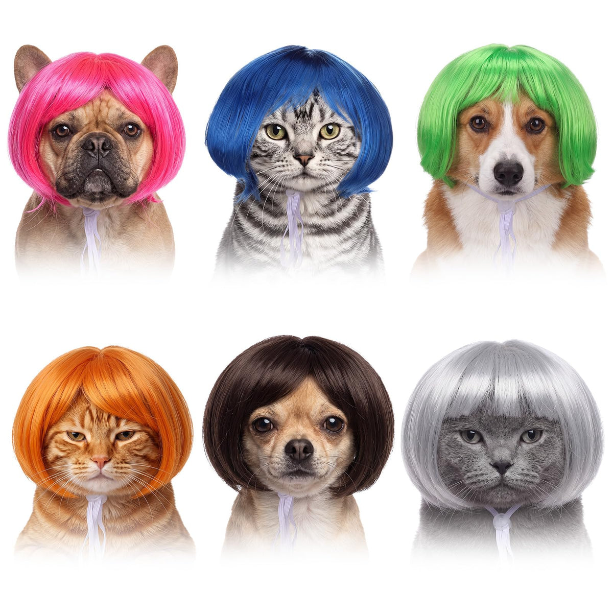 Huhumy pet bob wigs shown from the front.