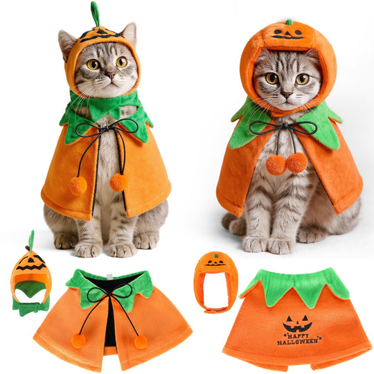 Huhumy pet pumpkin costume shown from the front with its hat and cape.