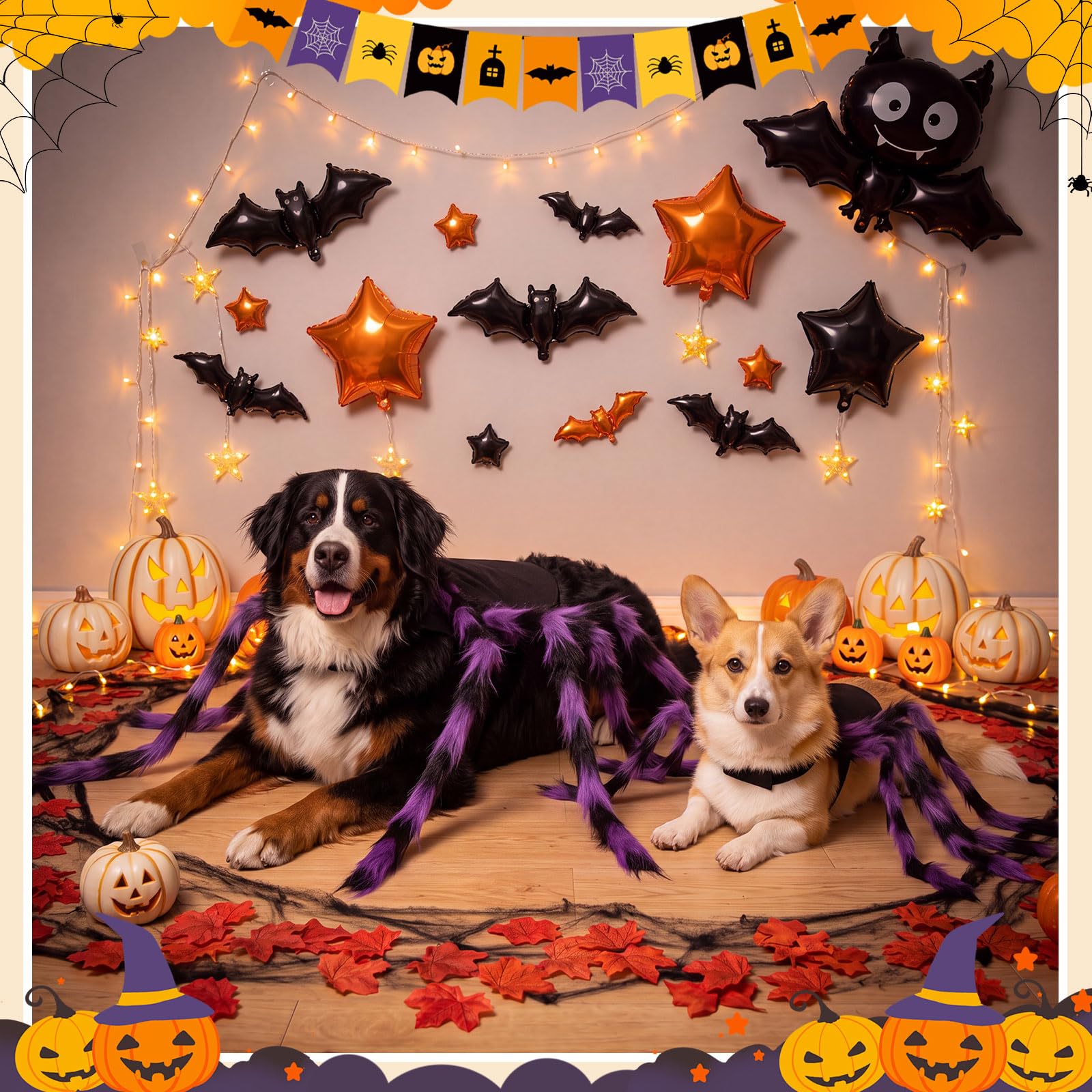 Huhumy spider pet costume worn by a cat for a themed photo.