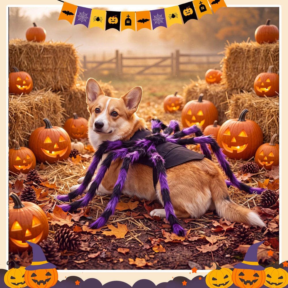 Huhumy spider pet costume worn by a dog for a seasonal dress-up occasion.