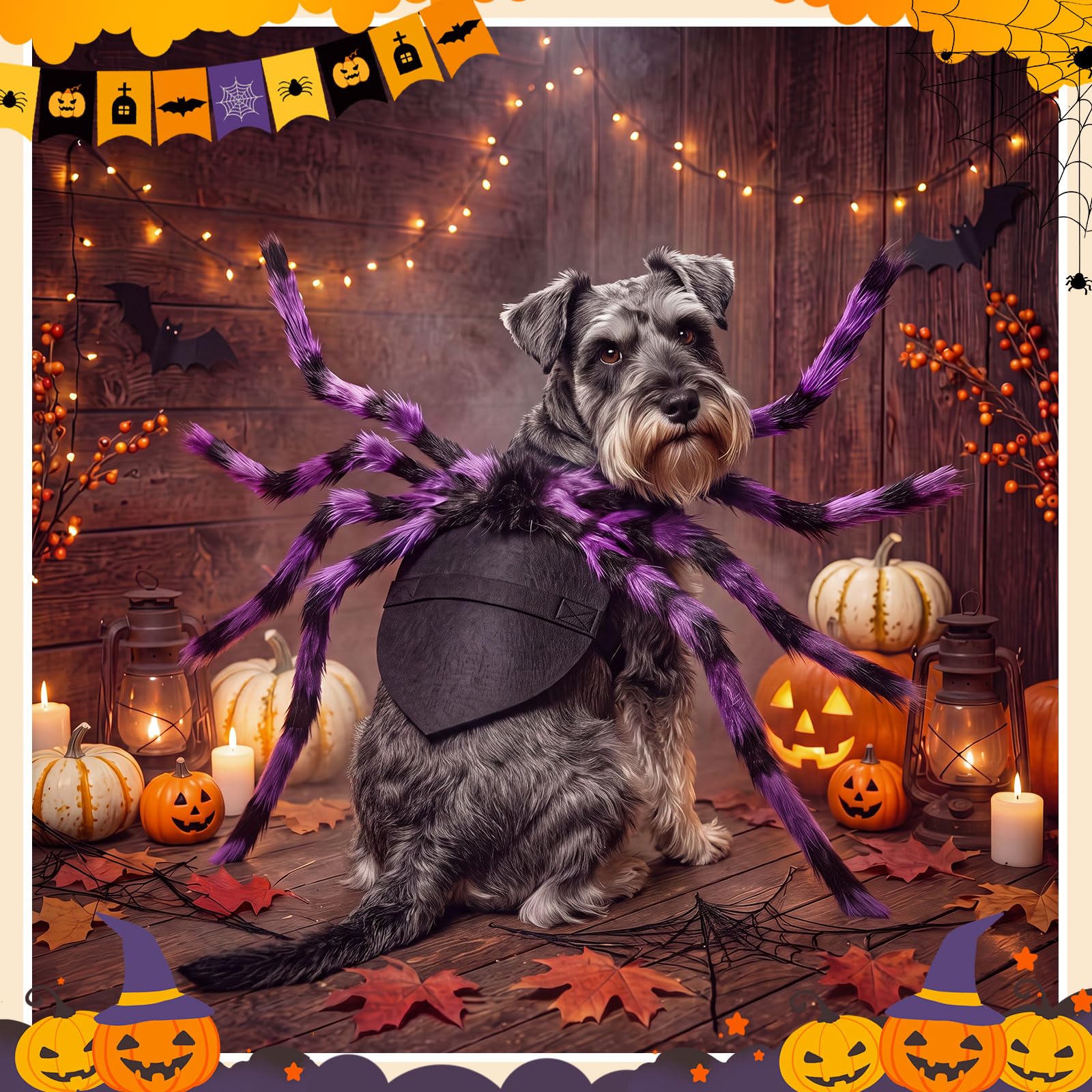 Huhumy spider pet costume in its purple-and-black color combination.