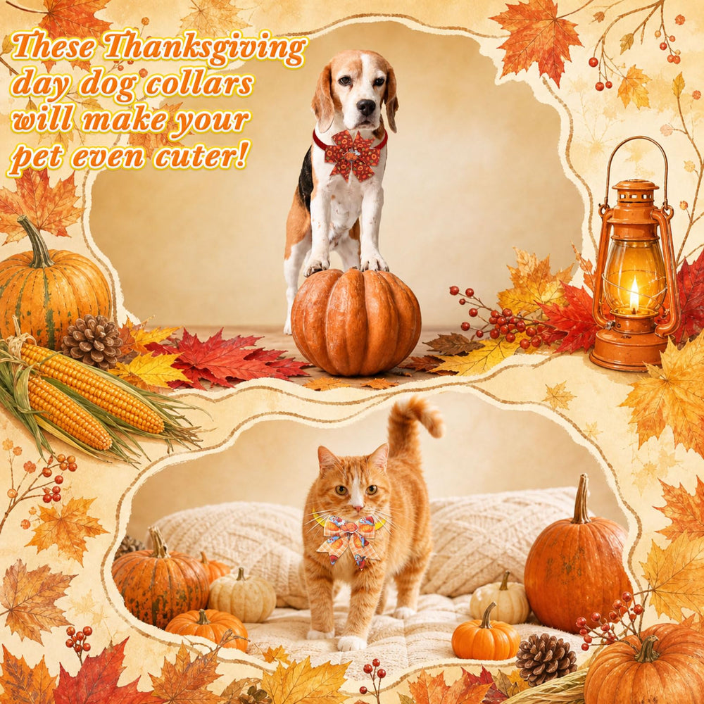 Huhumy Thanksgiving pet bow tie worn by a small or medium pet.