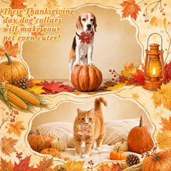 Huhumy Thanksgiving pet bow tie worn by a small or medium pet.