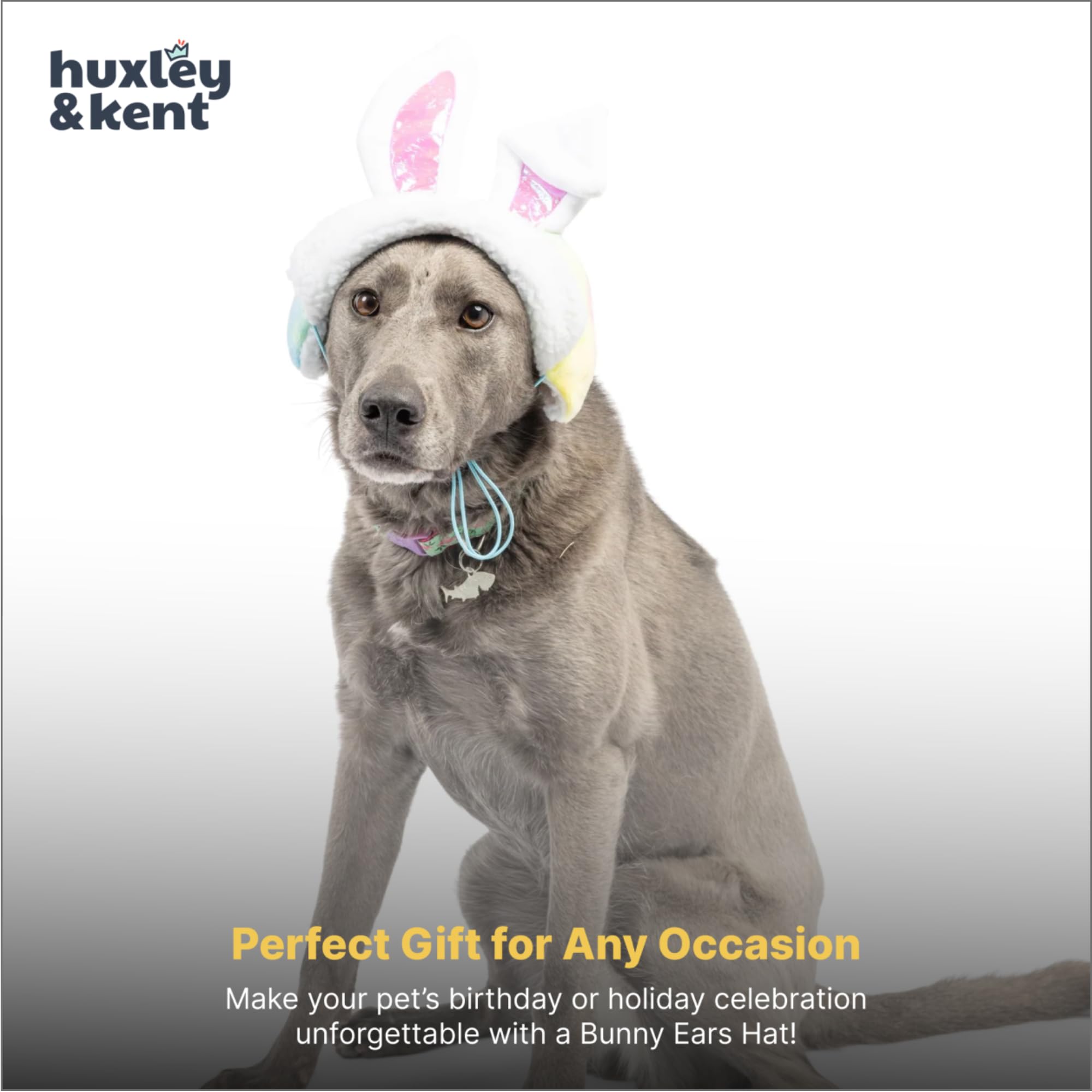 Huxley & Kent SnugFit pet hat styled for a pet party photo.