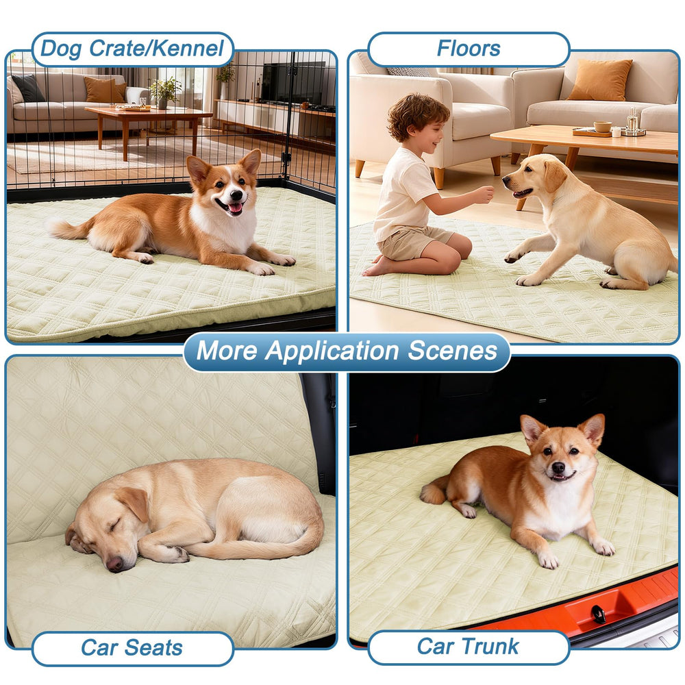 hyha dog blanket spread over a bed.