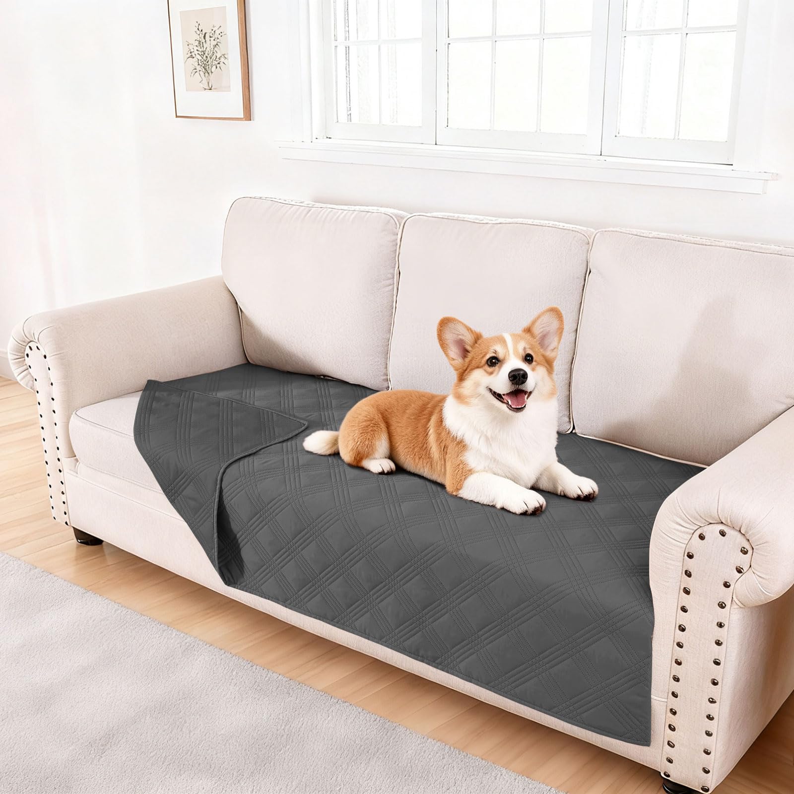 hyha dog blanket shown from the front to display its overall cover design.