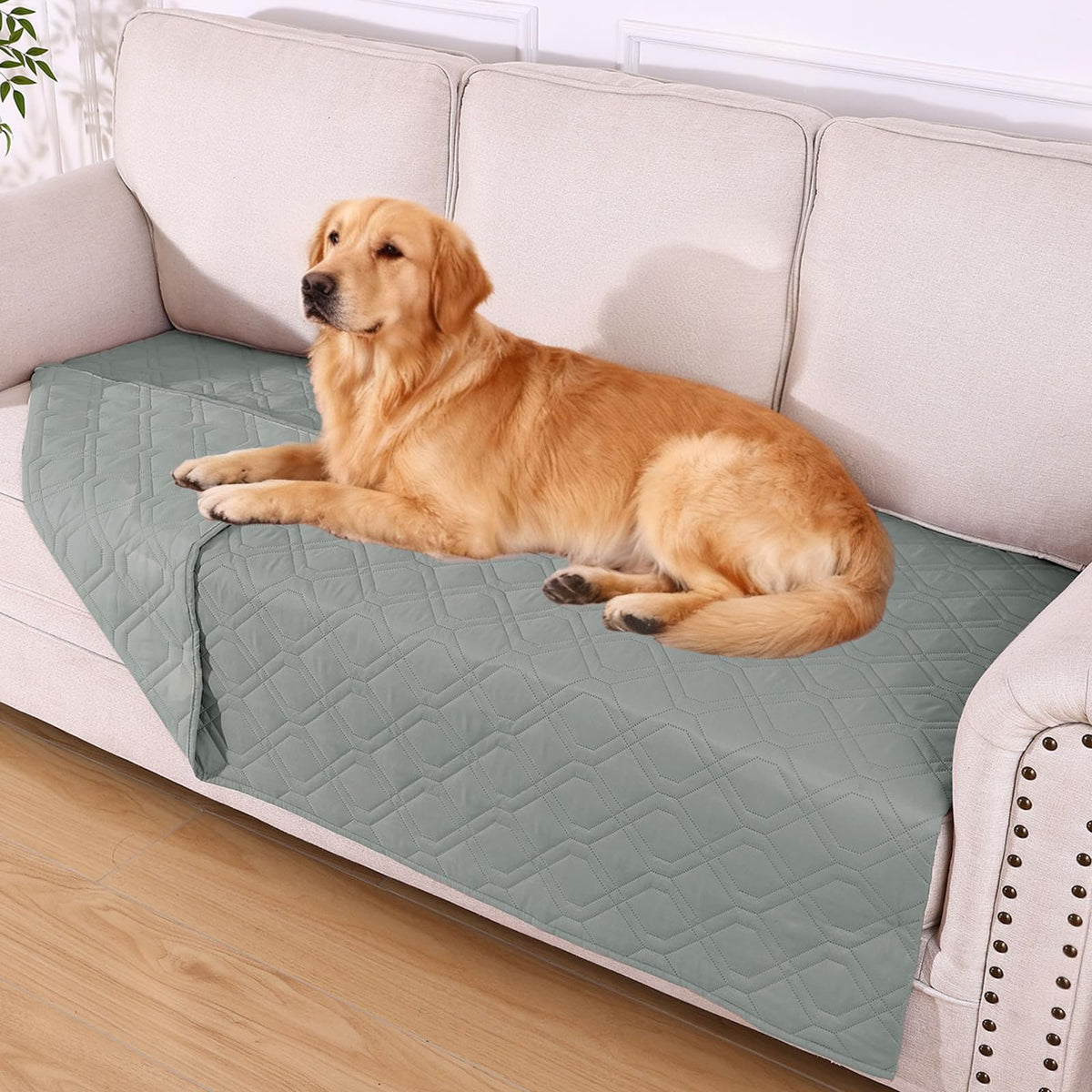 hyha dog blanket shown from the front as a soft waterproof pet cover.