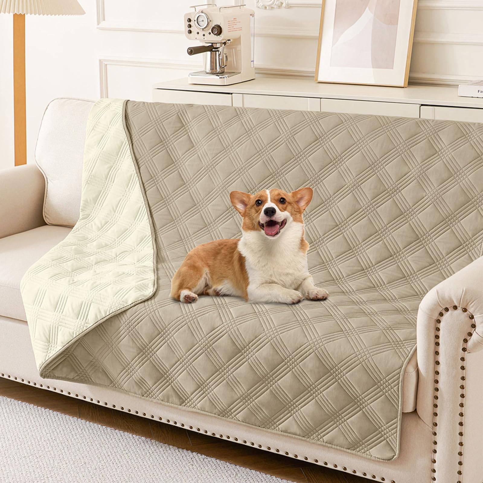 hyha dog blanket shown from the front.