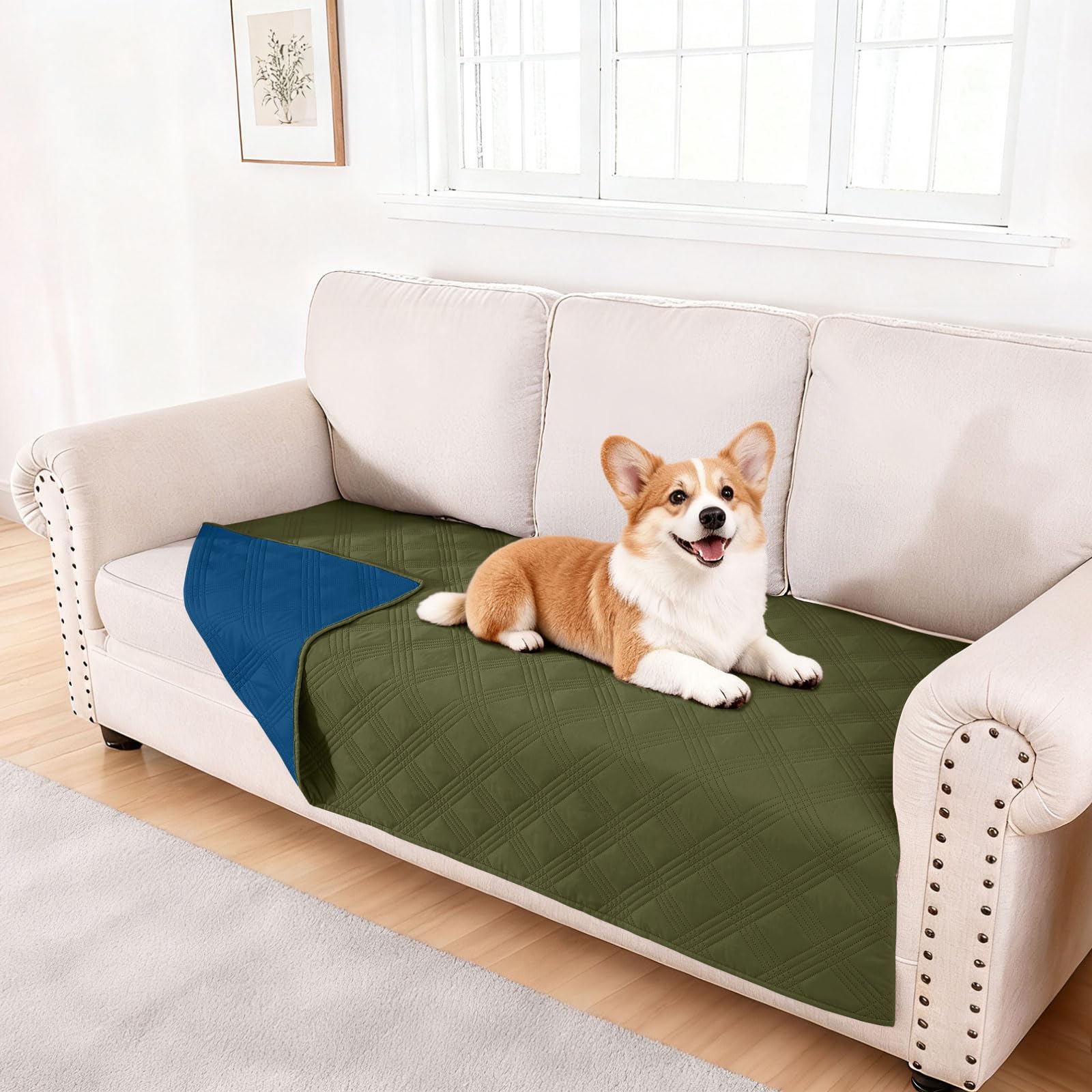 hyha dog blanket shown from the front as a furniture cover.