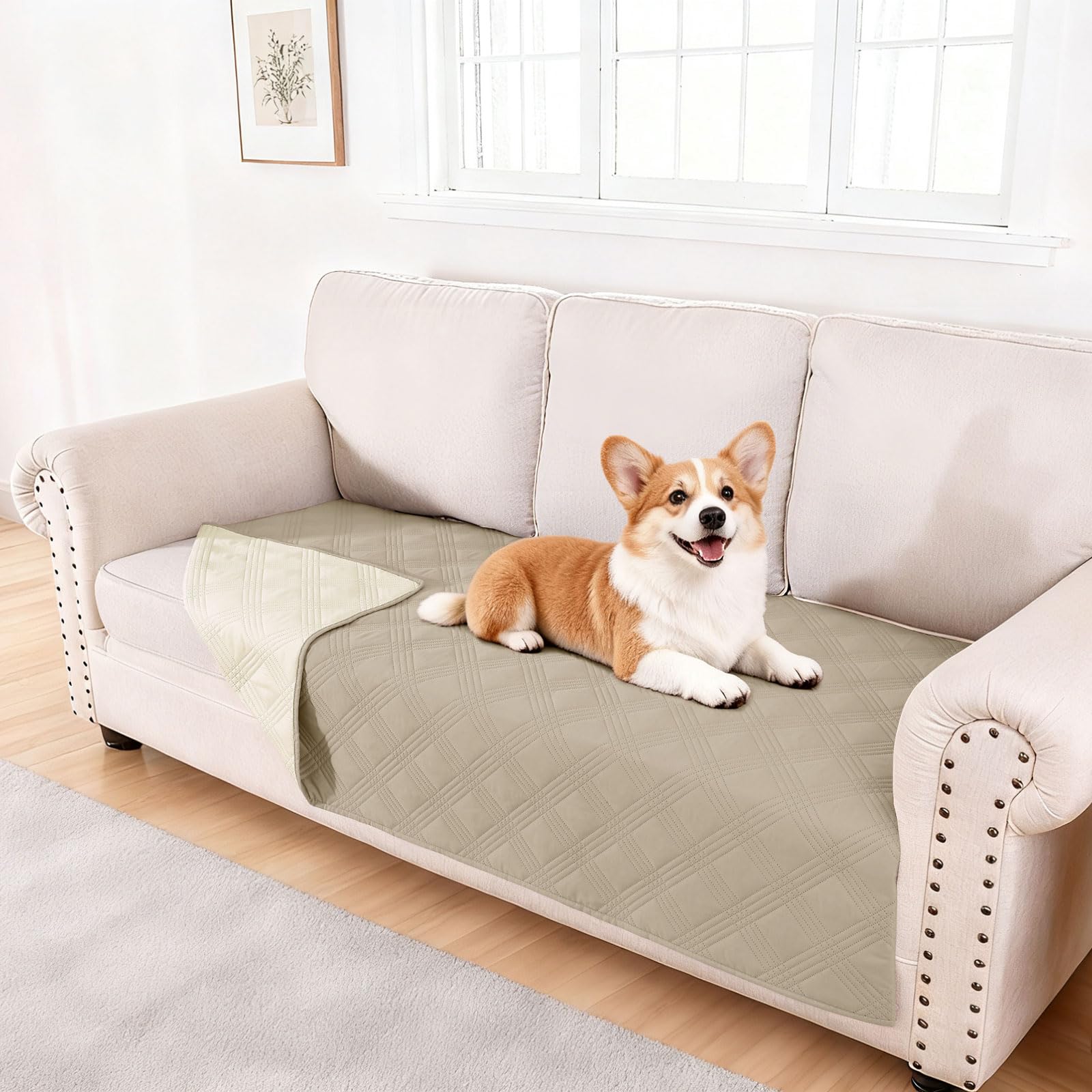 The hyha dog blanket shown from the front.