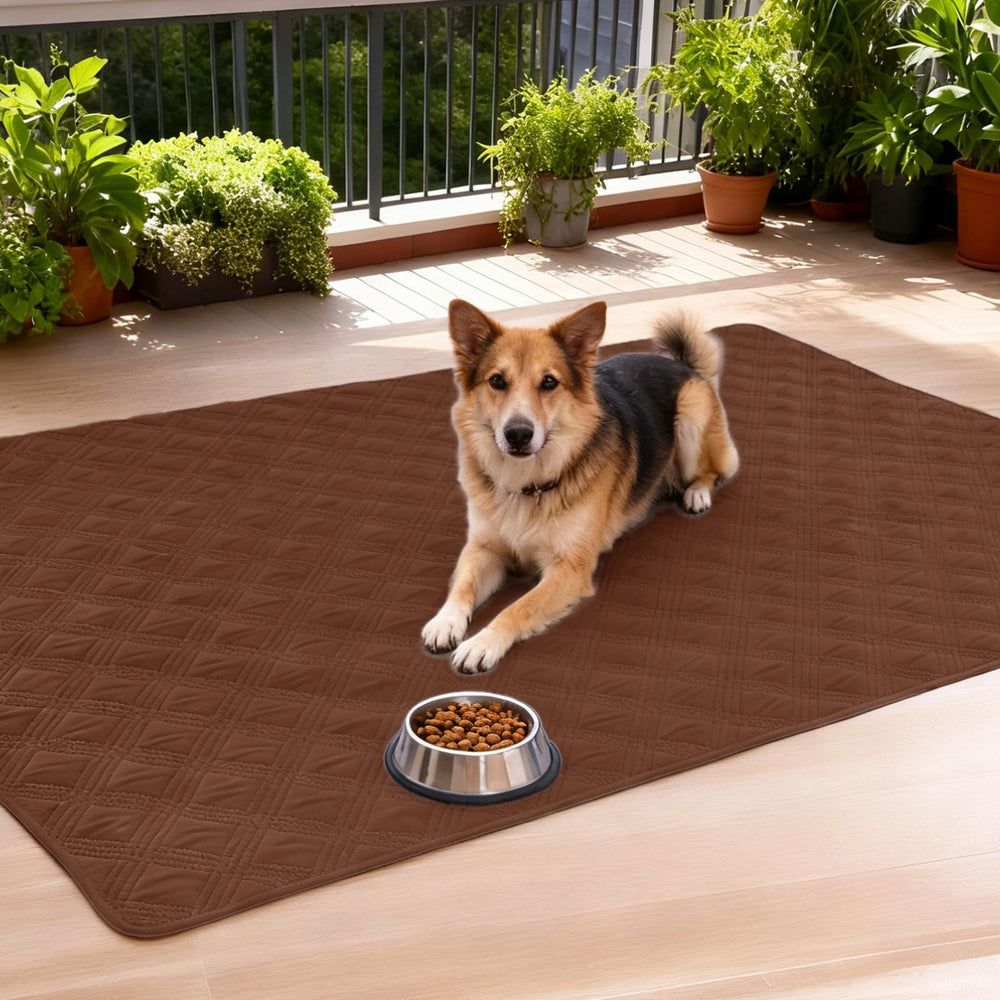 hyha dog blanket shown in an outdoor setting for a picnic or outing.