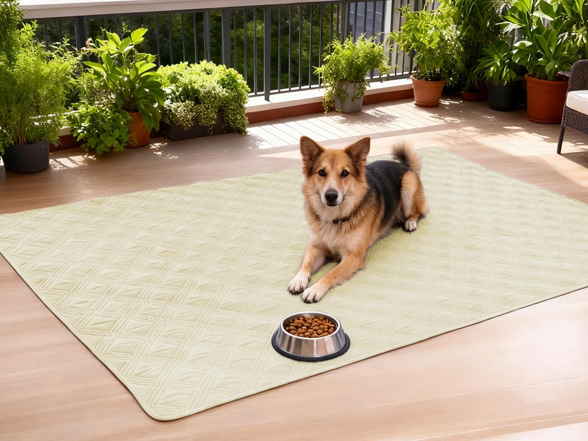 hyha dog blanket shown with machine-washing care guidance.