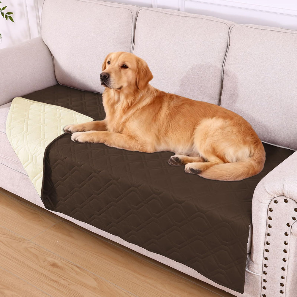 hyha waterproof dog blanket shown from the front.
