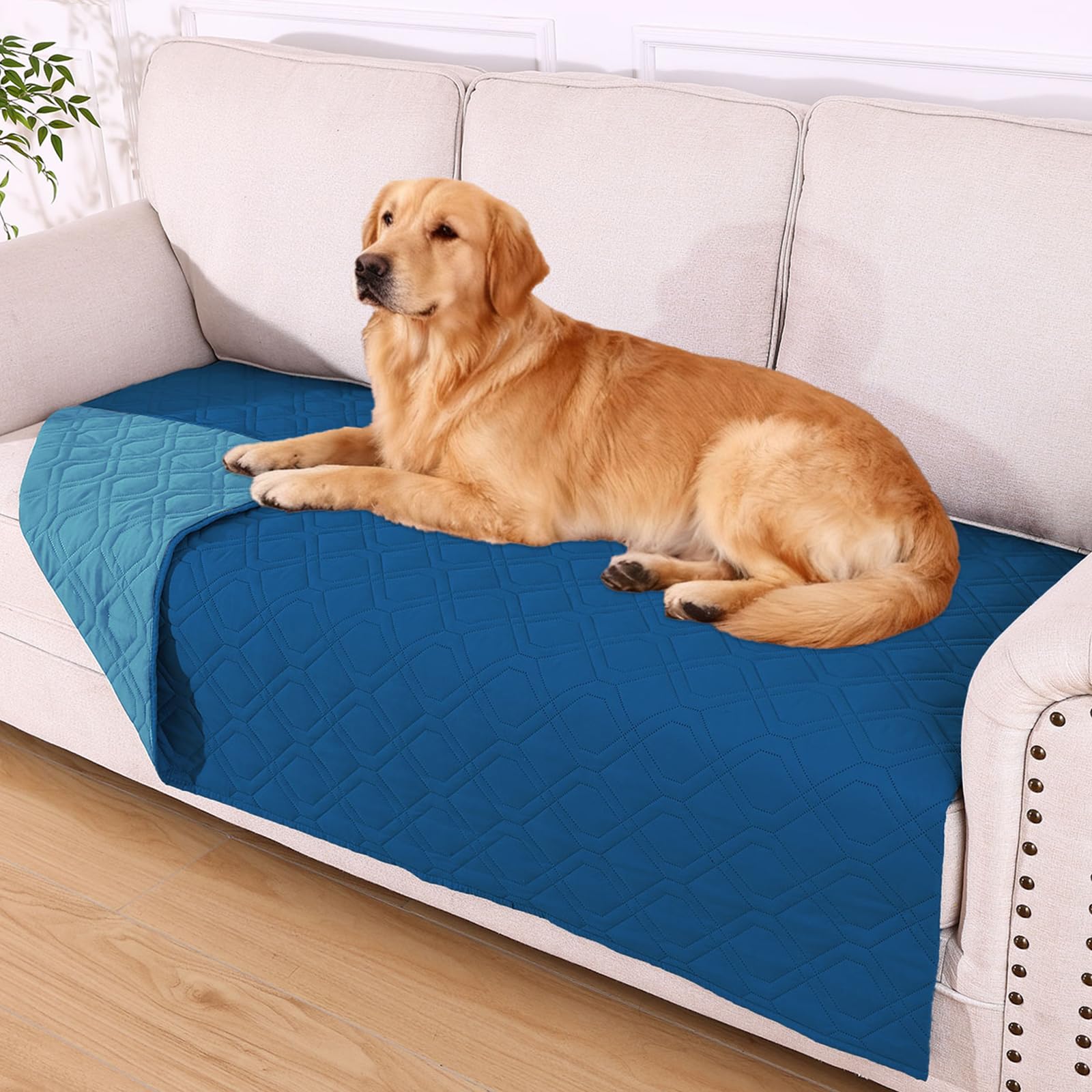 hyha waterproof dog blanket shown from the front.