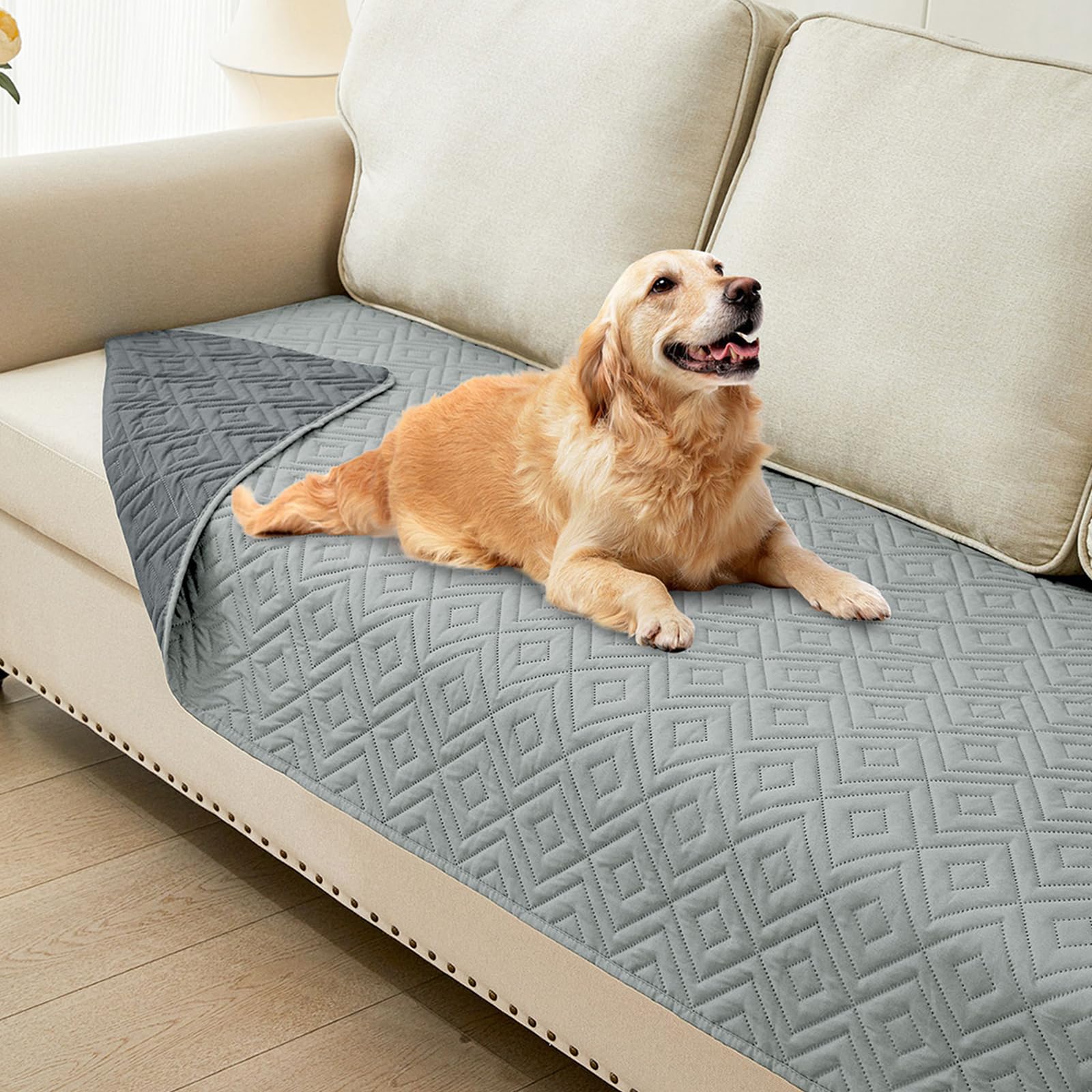 hyha waterproof dog blanket shown from the front.