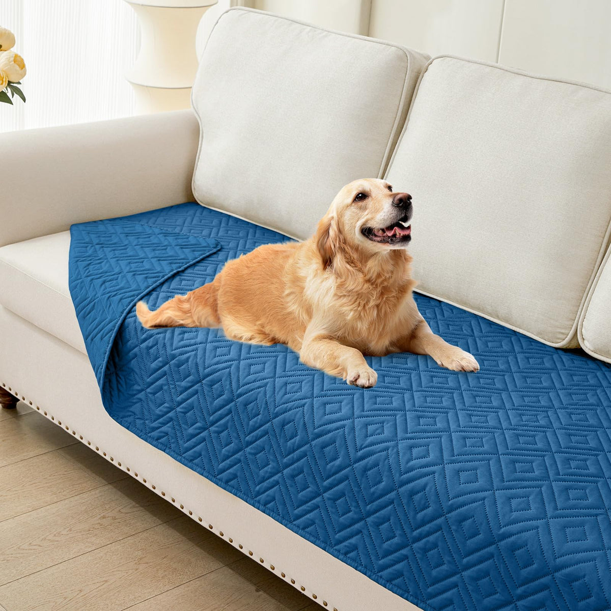 hyha waterproof dog blanket shown from the front.