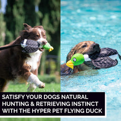 Hyper Pet Flying Duck dog toy floating during a water fetch game.