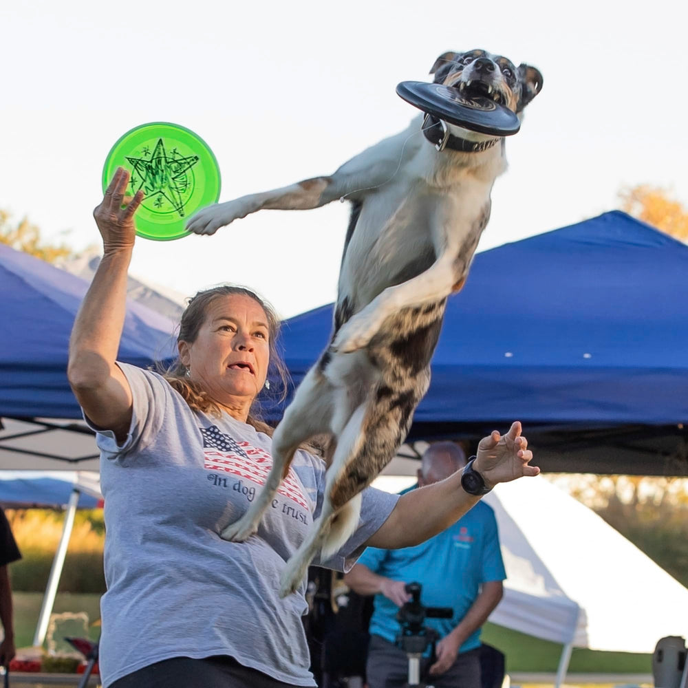 Hyperflite K-10 Jawz dog flying disc in flight during outdoor play.
