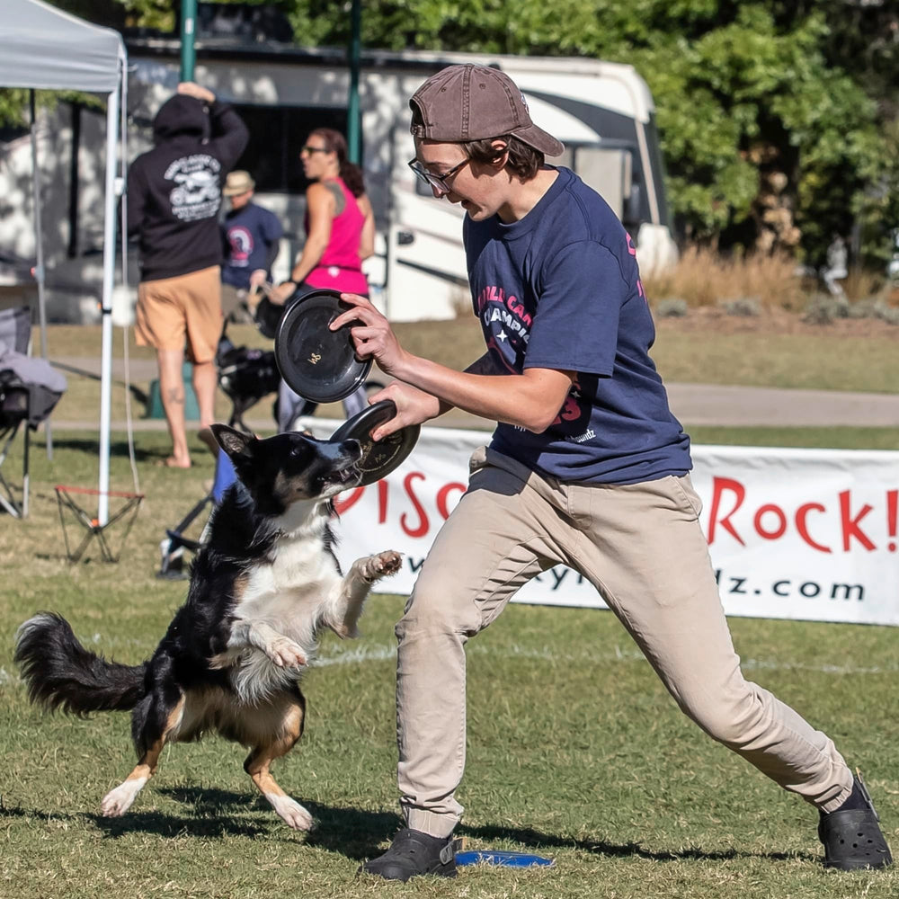 Hyperflite Pup Jawz dog flying disc shown as a canine disc sport design.