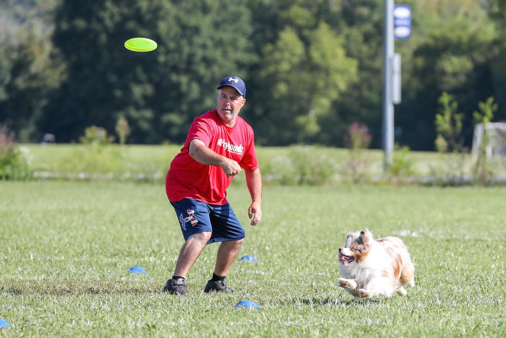 A dog retrieves the Hyperflite Pup Jawz flying disc.