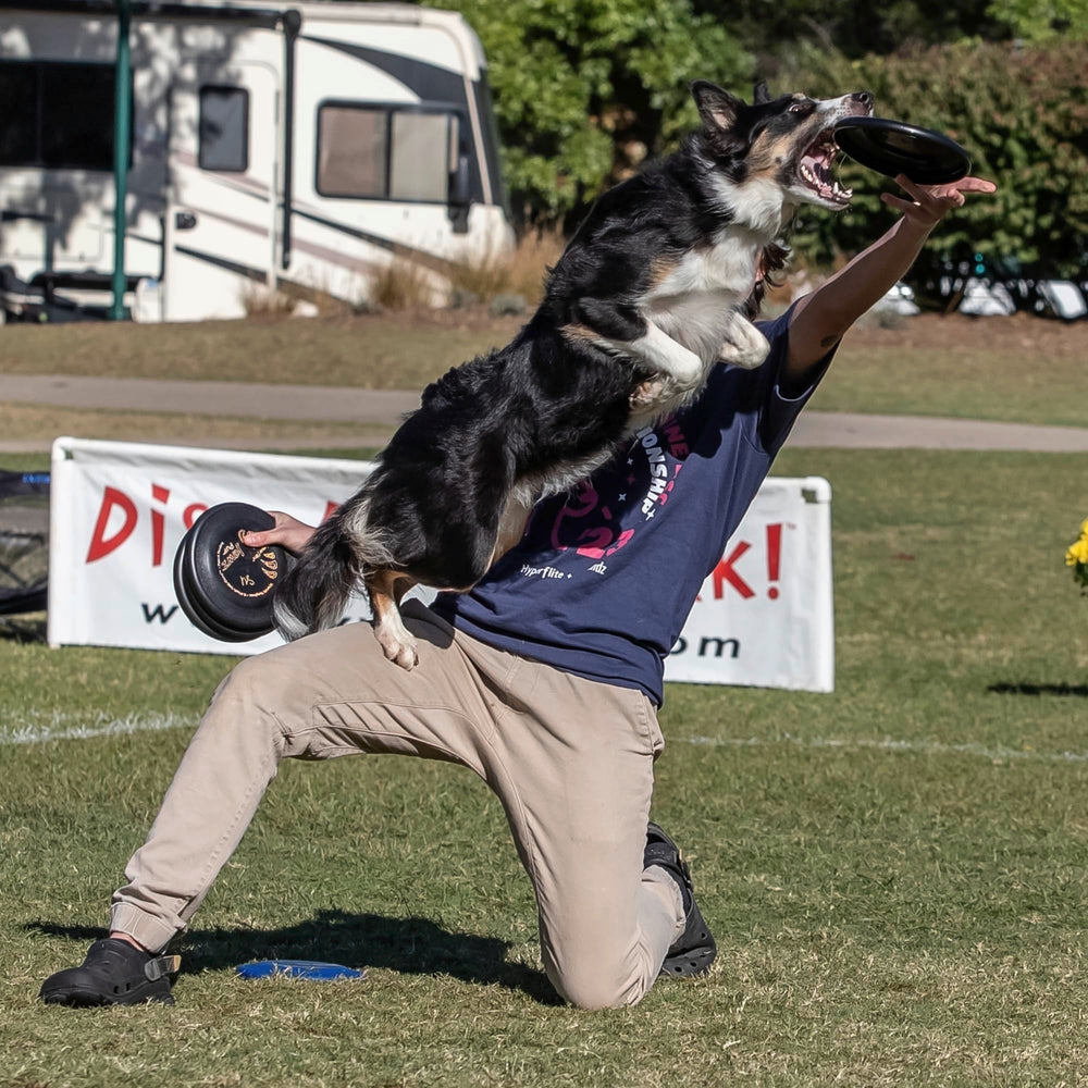 Hyperflite Pup Jawz dog flying disc with a close view of its edge.