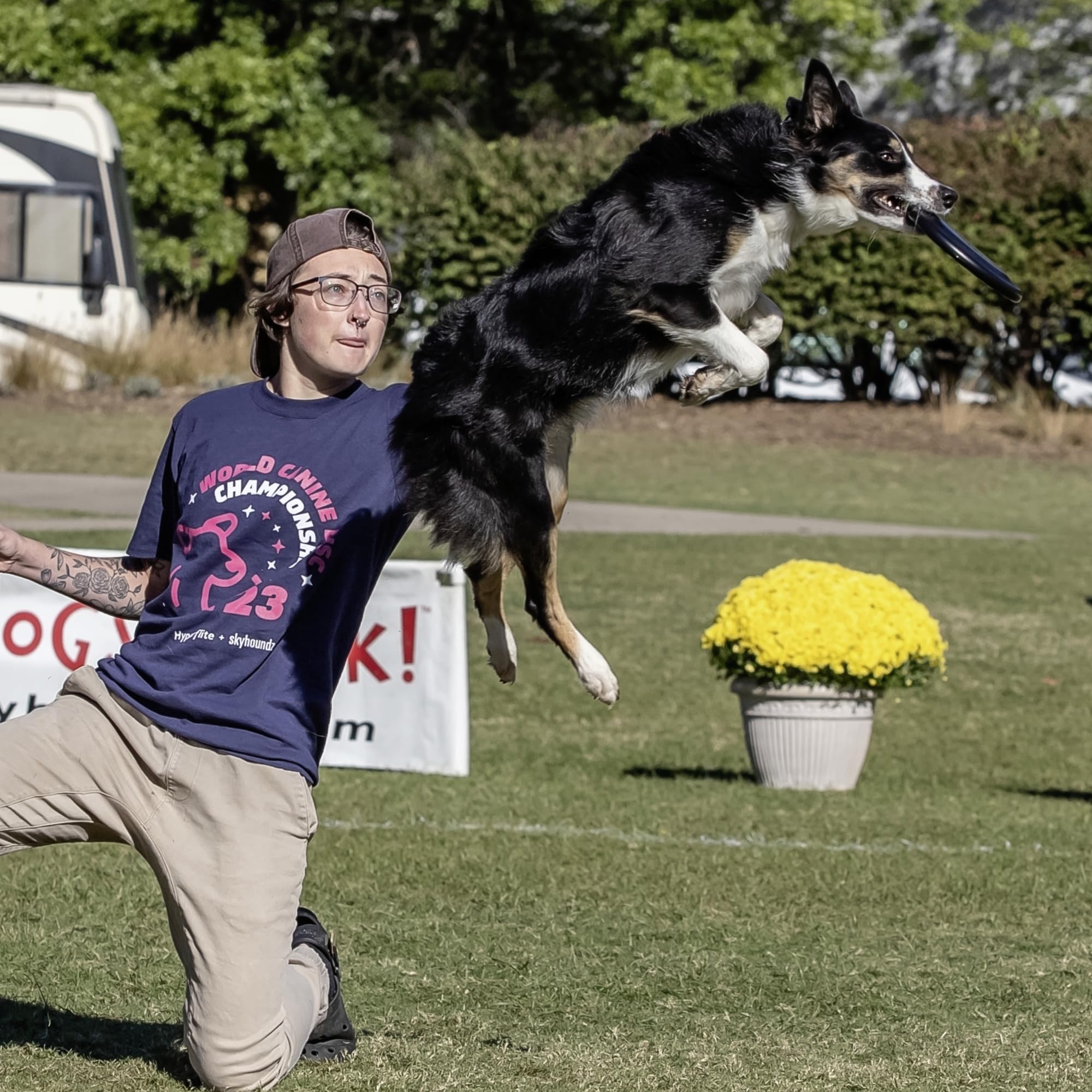 Hyperflite Pup Jawz dog flying disc shown during outdoor fetch.