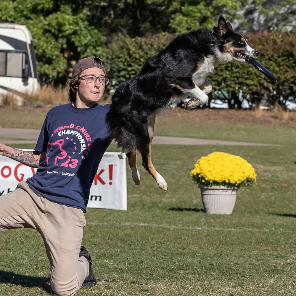 Hyperflite Pup Jawz dog flying disc shown during outdoor fetch.